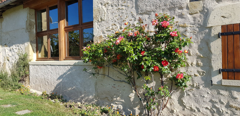 Guinlets Annex Roses