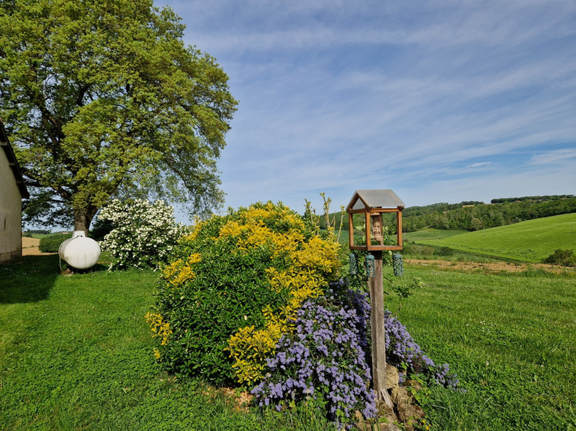 Guinlets view to north 2.jpg