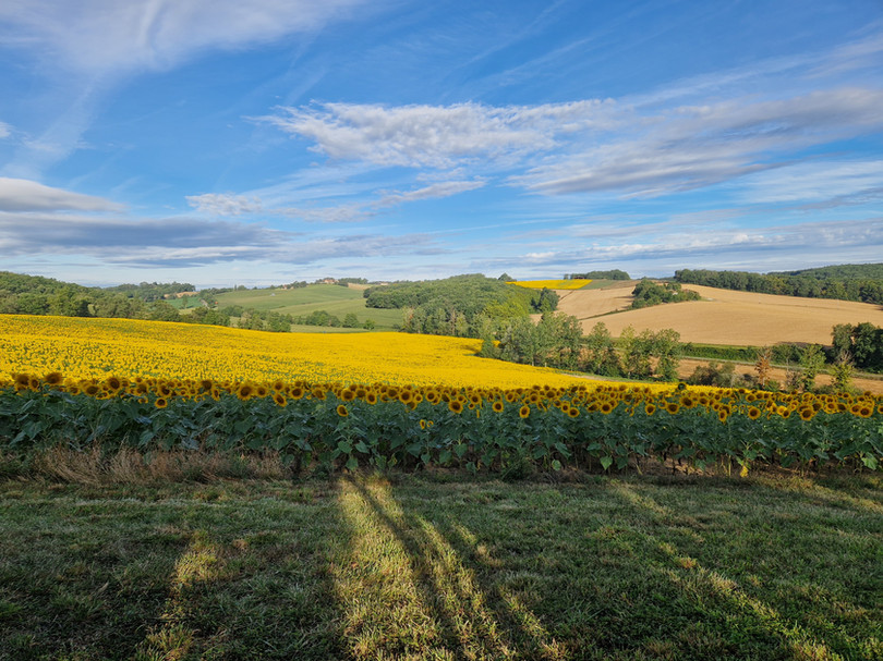 Guinlets view to west.jpg