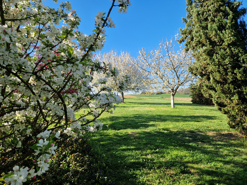 Guinlets park in Spring.jpg
