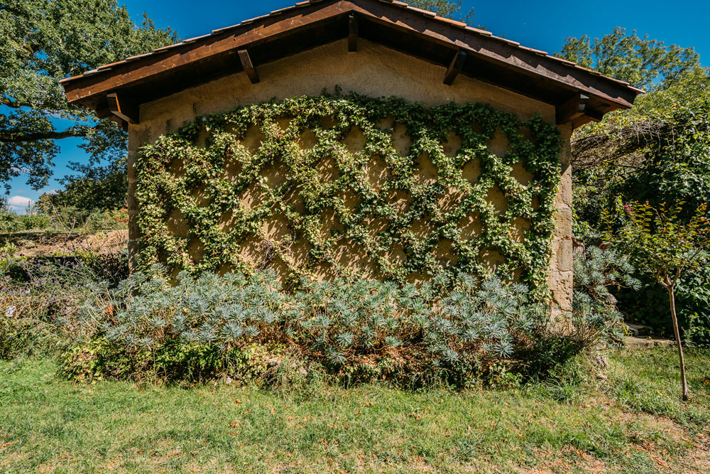 Lattice ivy work on loggia