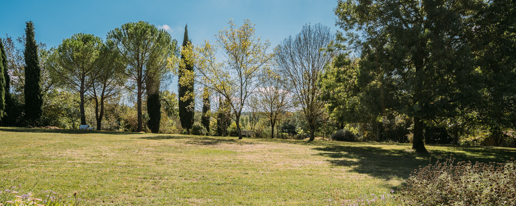 Photograph of the  grounds